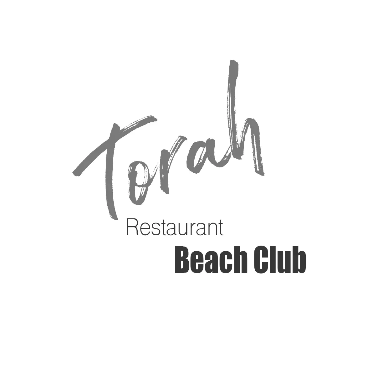 Logo Torah-Logo-white-1